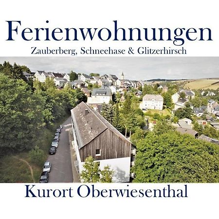 Ferienwohnungen Zauberberg, Schneehase & Glitzerhirsch Oberwiesenthal Ngoại thất bức ảnh