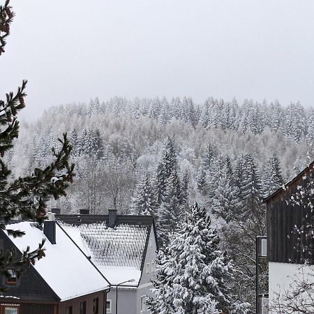 Ferienwohnungen Zauberberg, Schneehase & Glitzerhirsch Oberwiesenthal Ngoại thất bức ảnh