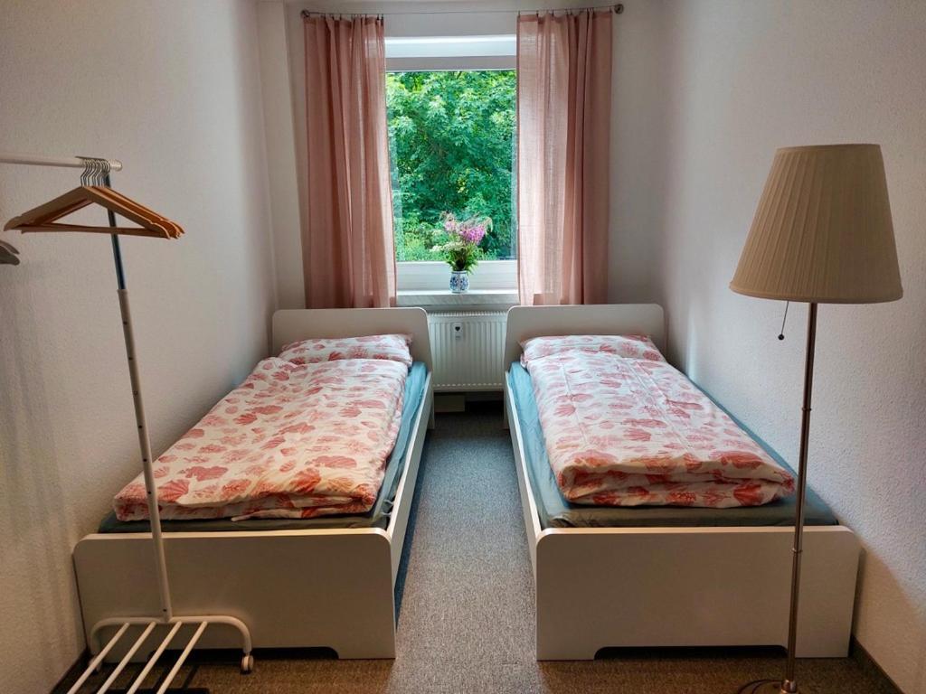 Ferienwohnungen Zauberberg, Schneehase & Glitzerhirsch Oberwiesenthal Ngoại thất bức ảnh