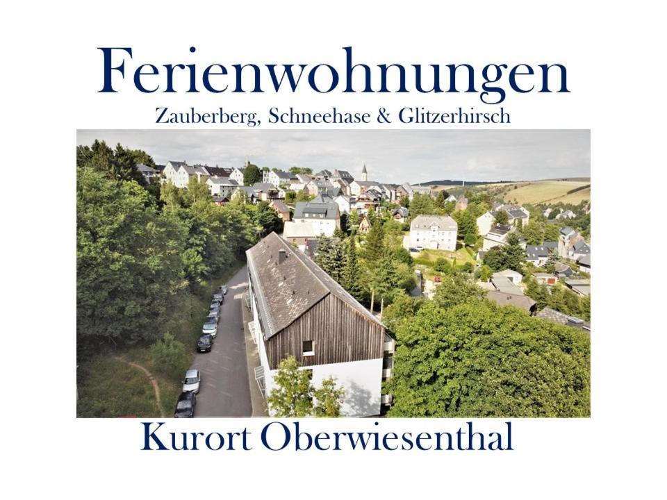 Ferienwohnungen Zauberberg, Schneehase & Glitzerhirsch Oberwiesenthal Ngoại thất bức ảnh