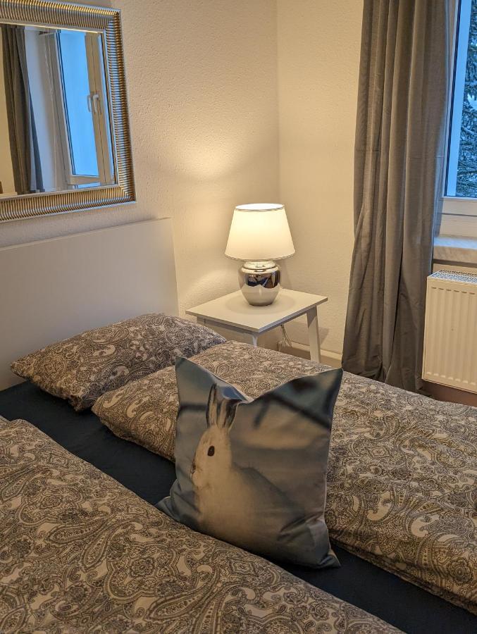 Ferienwohnungen Zauberberg, Schneehase & Glitzerhirsch Oberwiesenthal Ngoại thất bức ảnh